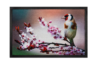 IMAGE WITH DESIGN
