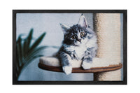 IMAGE WITH DESIGN